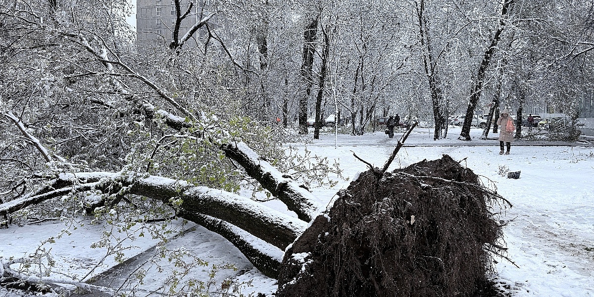 Haos usred proljeća: Zima se naglo vratila u Moskvu, teški snijeg rušio stabla i uništavao automobile