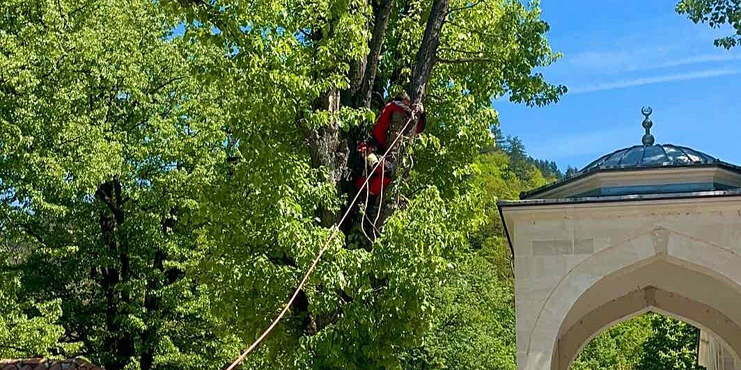 Članovi Spasilačke službe Wolf iz Foče uklonili opasno stablo iz harema Aladže