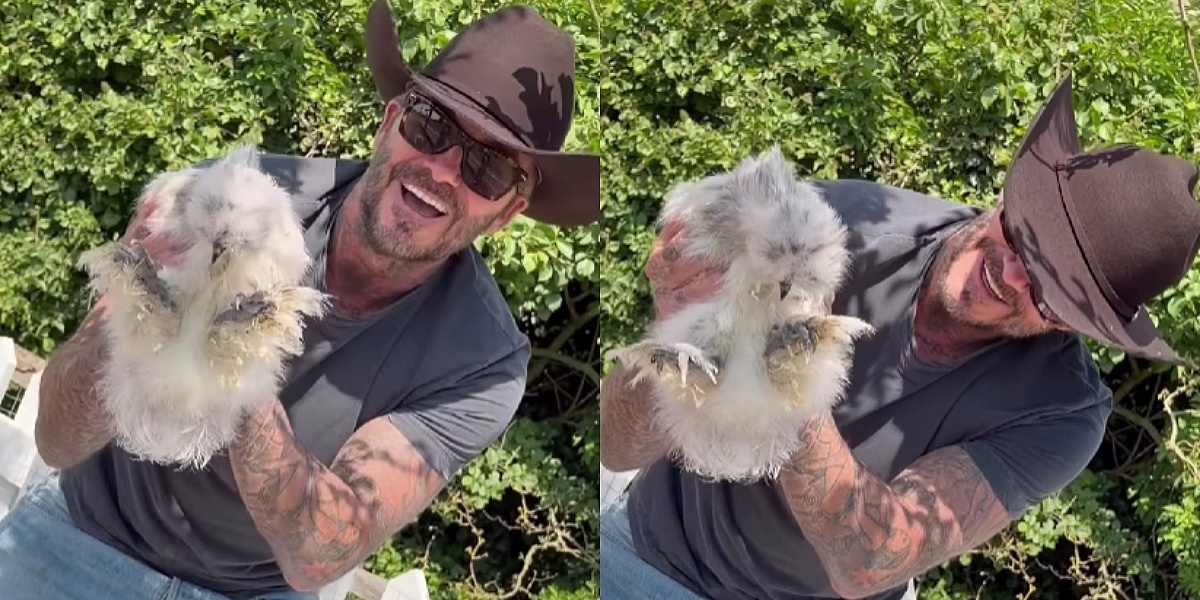David Beckham proslavlja rođendan u farmerskom duhu: Oduševljen novim kokoškama na svom imanju