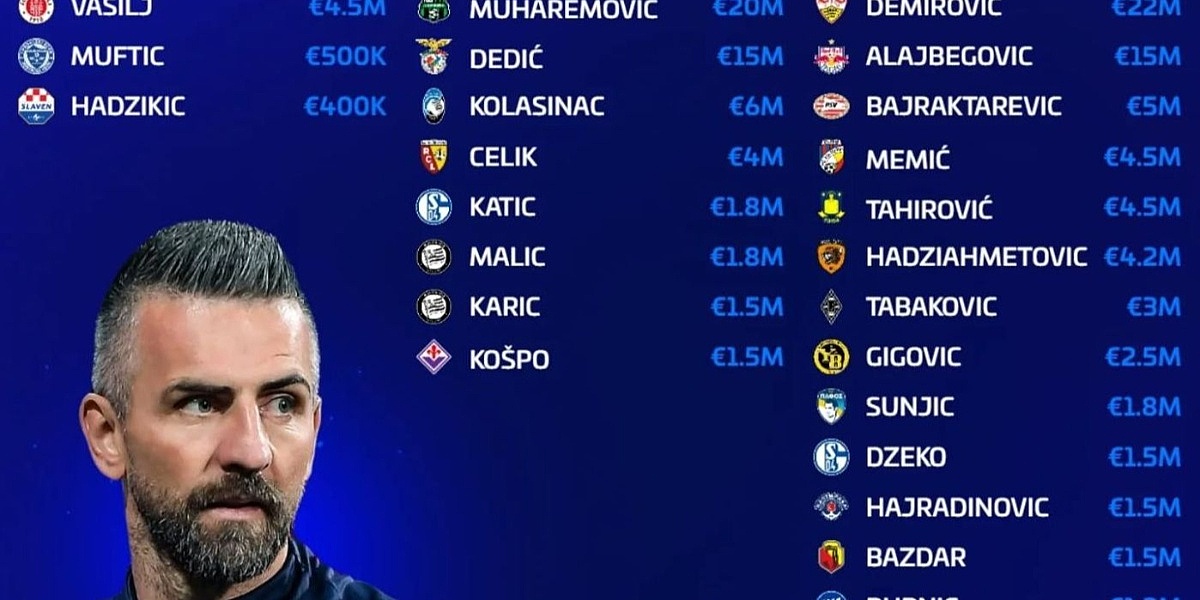 Ibišević uoči Barbarezovog spiska sastavio 