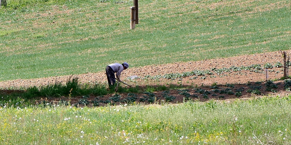 Tuzlanska poljoprivreda u krizi: Sve manje oranica, proizvođače guše visoki troškovi