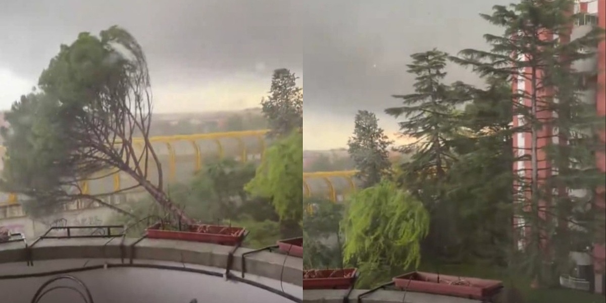 Zastrašujući snimak iz Rima: Tornado pogodio italijansku prijestolnicu i srušio stabla, došlo i do poplava
