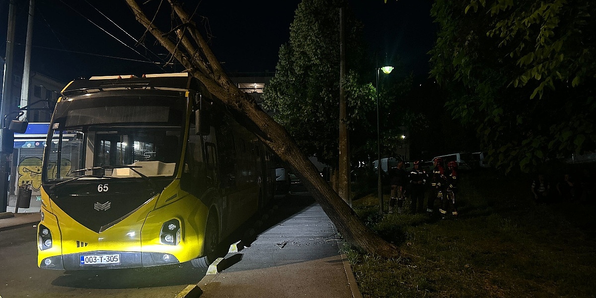 Sarajevo: Drvo palo na trolejbus na Trgu Austrije, javni prijevoz funkcioniše bez zastoja