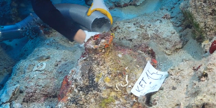Turkey: Archaeologists discover 4,700-year-old shipwreck off the coast