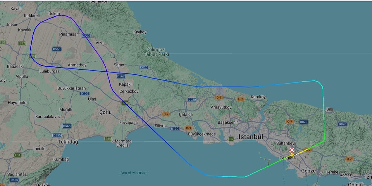 Avion na letu Istanbul - Sarajevo vraćen nakon udara ptice u kabinu