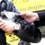 Dogs Trust u naredna dva mjeseca vrši sterilizaciju vlasničkih pasa