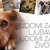 Veterinarski fakultet obezbjeđuje besplatnu zdravstvenu brigu za udomljene pse