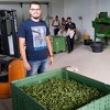Mladi agronom Nedim Šerifović: Poljoprivreda je fabrika pod otvorenim nebom