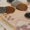 Građanin FBiH sa prosječnom platom 189 dana godišnje radi za državu