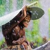 Pobjedničke fotografije National Geographica: Od razornog tornada, do orangutana koji se skriva