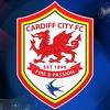 Tanov klub ušao u minus veći od dozvoljenog: Cardiff dobio zabranu na transfere
