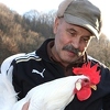 Mujo Selman iz Gornje Sanice: Iz ljubavi i inata čuva bosanske pasmine