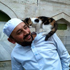 Turski imam otvorio vrata džamije i pustio ulične mačke unutra