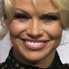 Seksi formalno: Pamela Anderson iz Playboya do parlamenta