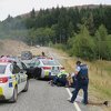 Novi Zeland: Stado ovaca pomoglo u hapšenju bjegunaca