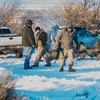 U pucnjavi sa policijom ubijen jedan od lidera "Oregonske okupacije"