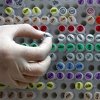 Britanci će modificirati gene ljudskog embrija