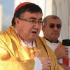 Kardinal Puljić pisao patrijarhu Irineju: Neprihvatljivo je vaše veličanje nastanka RS-a