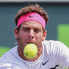 Del Potro se pobjedom vratio nakon skoro godinu dana pauze