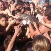 Beba delfin uginula zbog velikog broja turista koji su je dirali i pravili selfie s njom