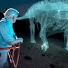 Najveći dinosaur koji je hodao Zemljom oživio u novom virtuelnom videu