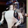 Zastrašujuće sposoban: Robot Atlas pomjera granice tehnologije