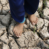 Klimatska uzbuna: Najtopliji februar u historiji mjerenja