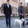 Studenti Kristijan i Denis su šetači sarajevskih pasa: Ovo nije ljubav, nego preživljavanje