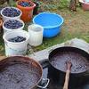 Domaće i organsko: Džemovi, sokovi, sirupi, pekmezi, ajvar, sirće i bestilj sa Tjentišta