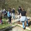 Sarajevski učenici pošumljavali brda pored Sarajeva