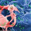 Moguće odstraniti genetski materijal koji pripada HIV-u