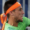 ATP Monte Carlo: Džumhur bez problema eliminisao Haasea, u 2. kolu protiv Berdycha