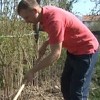 Bugojanski uzgajivači malina se pripremaju za ovogodišnju sezonu