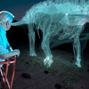 Istraživanje: Zašto su izumrli dinosauri?
