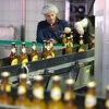 Sarajevska pivara proizvela pšenično pivo