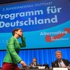 Program njemačke partije AfD: Islam ne pripada Njemačkoj, zabraniti minarete i ezane