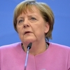 Svinjska glava pronađena u blizini rezidencije Angele Merkel