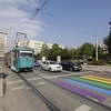 Sarajevske ulične zebre iscrtane duginim bojama