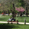 Očekuje nas sunčan vikend sa temperaturama do 27 stepeni
