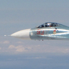 Ruski borbeni avion prinudno spustio u Lipeckoj oblasti