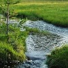 Zlatibor, planinski turistički centar i visinsko lječilište
