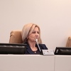 HDZ BiH odgovara: Ni Dragan Čović nije znao kada će bit donesena odluka o objavi rezultata popisa