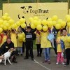 Dogs Trust organizovao izlet u Školu u prirodi u Šabićima za osnovce
