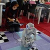 Roboti postaju nova zemaljska vrsta: Znat će šta su emocije i moći će "osjetiti" svijet