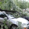 Nevrijeme zahvatilo veći dio Srbije: Vjetar lomio drveće, otkazano više letova