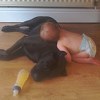 Urnebesne fotografije beba koje spavaju na čudnim mjestima