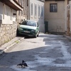 Sarajevo: Dvije osobe uhapšene zbog dvostrukog ubistva u Starom Gradu
