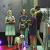 Crveni tepih za udomljene pse: Dogs Trust počastio udomljene pse vrijednom poklon bonom
