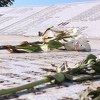 Obilježena 21. godišnjica genocida u Srebrenici, ukop 127 žrtava protekao mirno i dostojanstveno