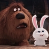 Animirani film "The Secret Life of Pets" ponovo na vrhu američkog box officea